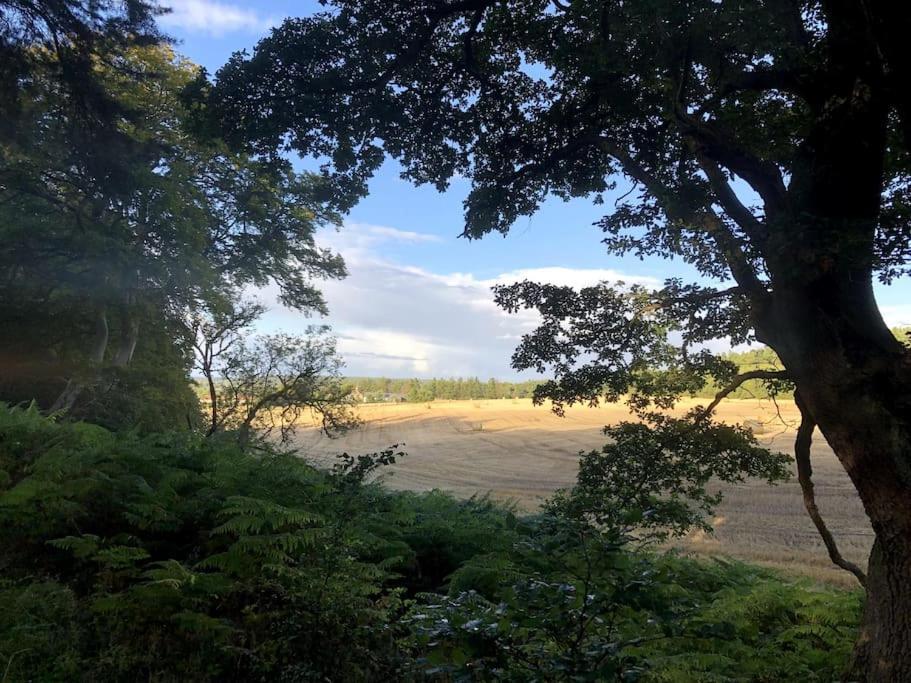 Glenburn, Private Studio Accommodation In Fochabers Exterior photo